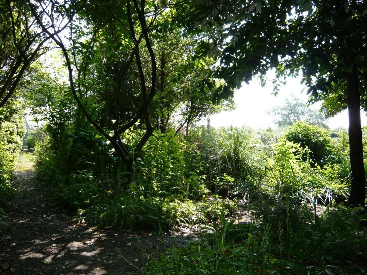 The Croft Guest House - Cockwood Harbour Near 埃克塞特 外观 照片